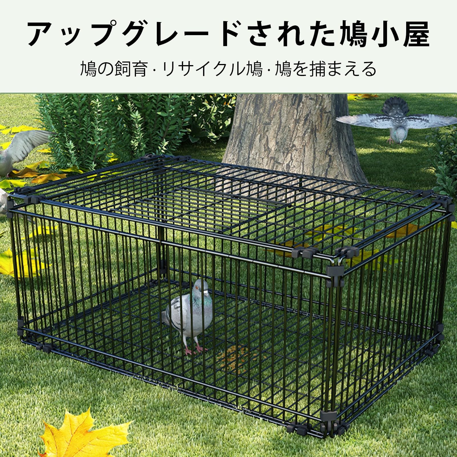Amazon.co.jp: HXNXSY 鳥かご 鳥捕獲器 鳩捕獲器 屋外用鳩かご 天窓