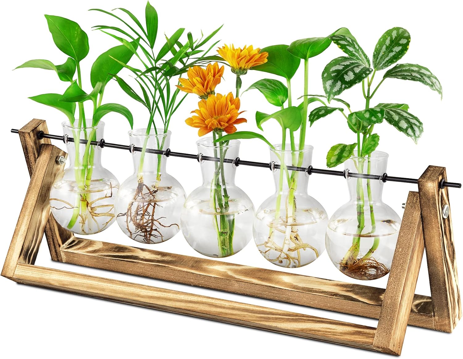 Waytoeast Plant Propagation Stations, Desktop Air Plant Terrarium with Wooden Stand Propagation Planters Glass for Hydroponics Plants Office Home Gardening Gifts for Women - 3 Bulb Vase : Patio, Lawn & Garden