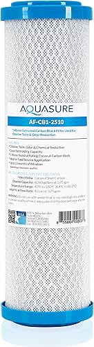 Aquasure Pioneer Series 1 Micron Solid Coconut Shell Filtro de agua de bloque de carbono - 10" x 2.5"