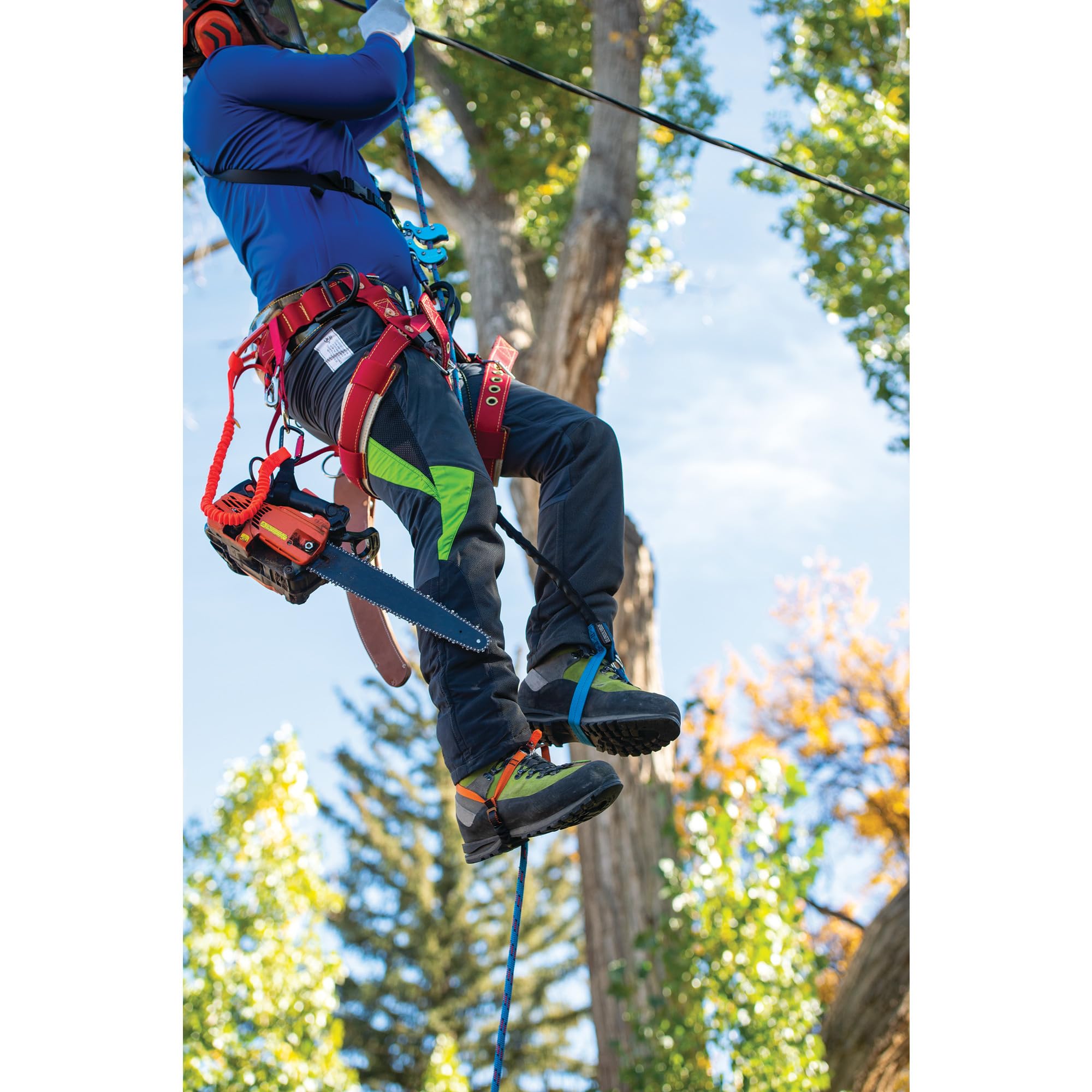 Amazon | Weaver Arborist ナイロン Haas Velox アセントシステム 