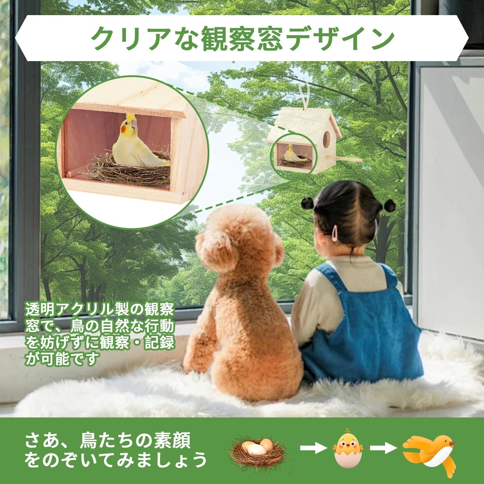 Amazon.co.jp: 野鳥用巣箱 完成品 鳥の巣 透明な覗き窓付き 天然木材