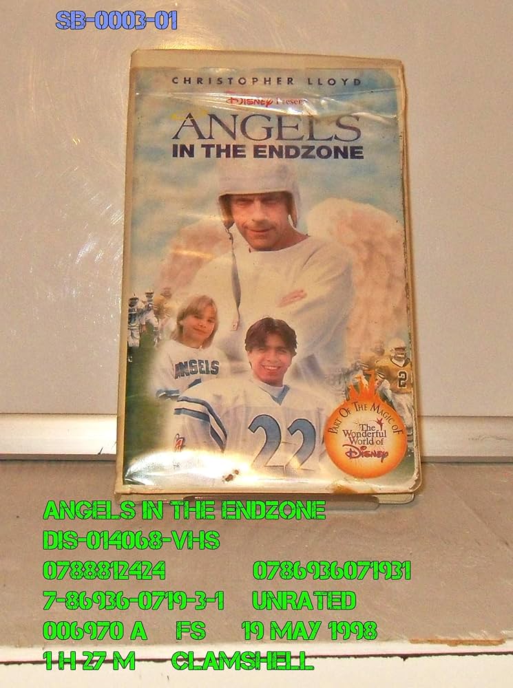 その他 Angels in Endzone [DVD] Angels in the EndZone (DVD, 2004) for sale online | eBay