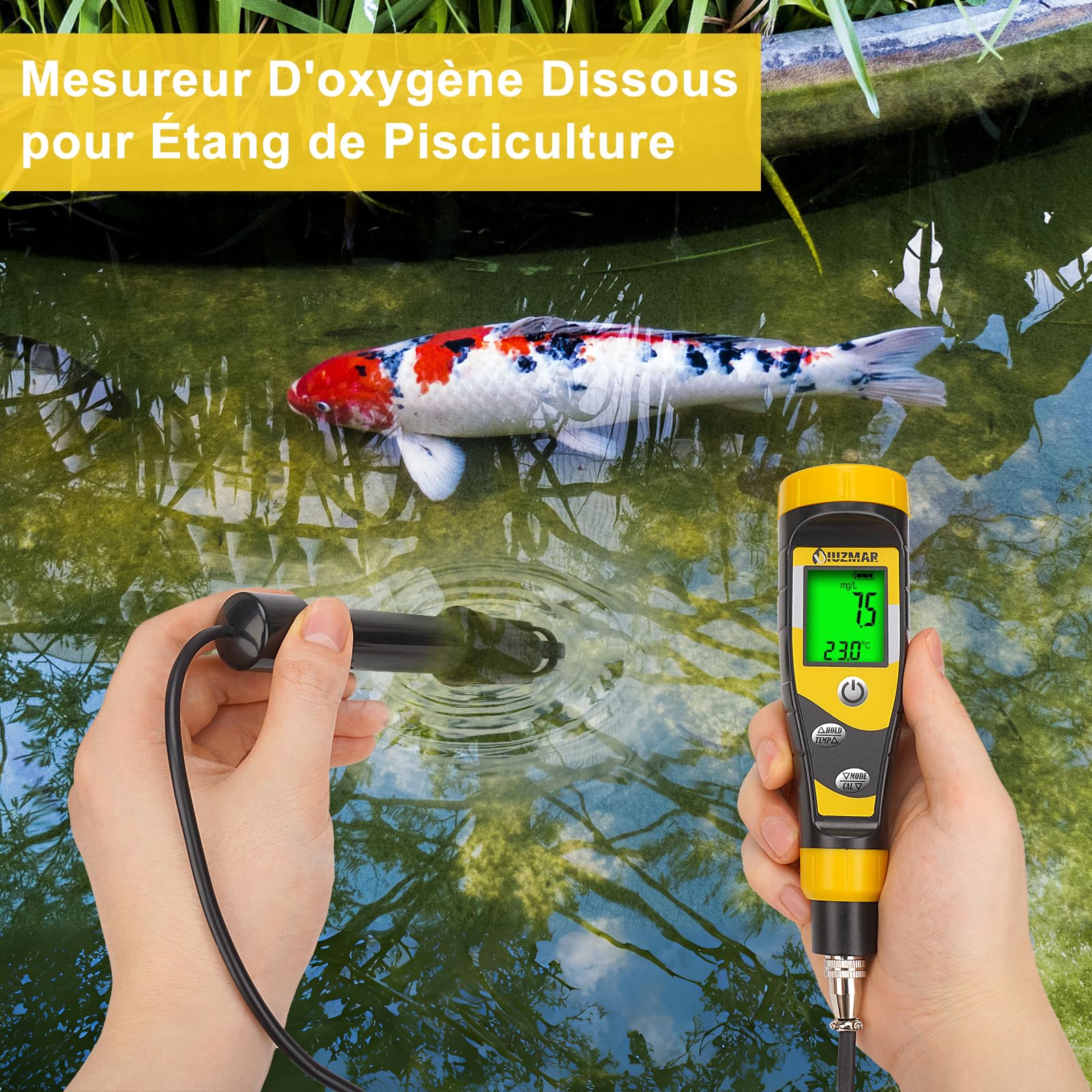 UIUZMAR Testeur D'oxygène Dissous Portable - Kit de Test D'oxygène Dissous avec Électrode de 3,6 Pieds - Pour Bassins, Aquariums, Aquaculture avec Plage de Mesure 0,0-40,0 mg/L