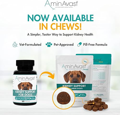Miniatura 4 de AminAvast Suplemento de riñón para perros - Apoya la función renal natural - Promueve la salud y la vitalidad del envejecimiento de los riñones -