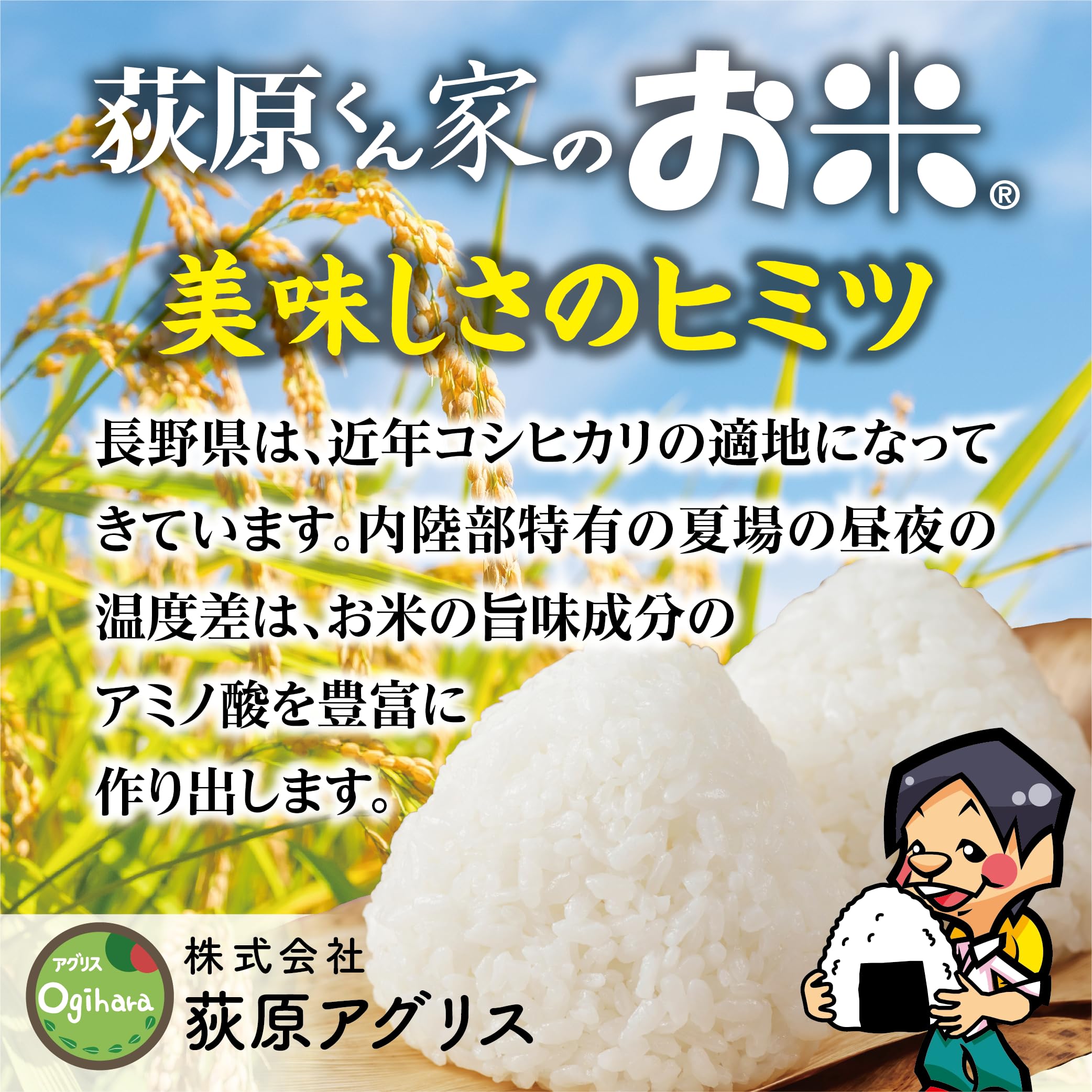 Amazon.co.jp: 荻原くん家のお米 (玄米) 30㎏ 令和7年産 長野県産