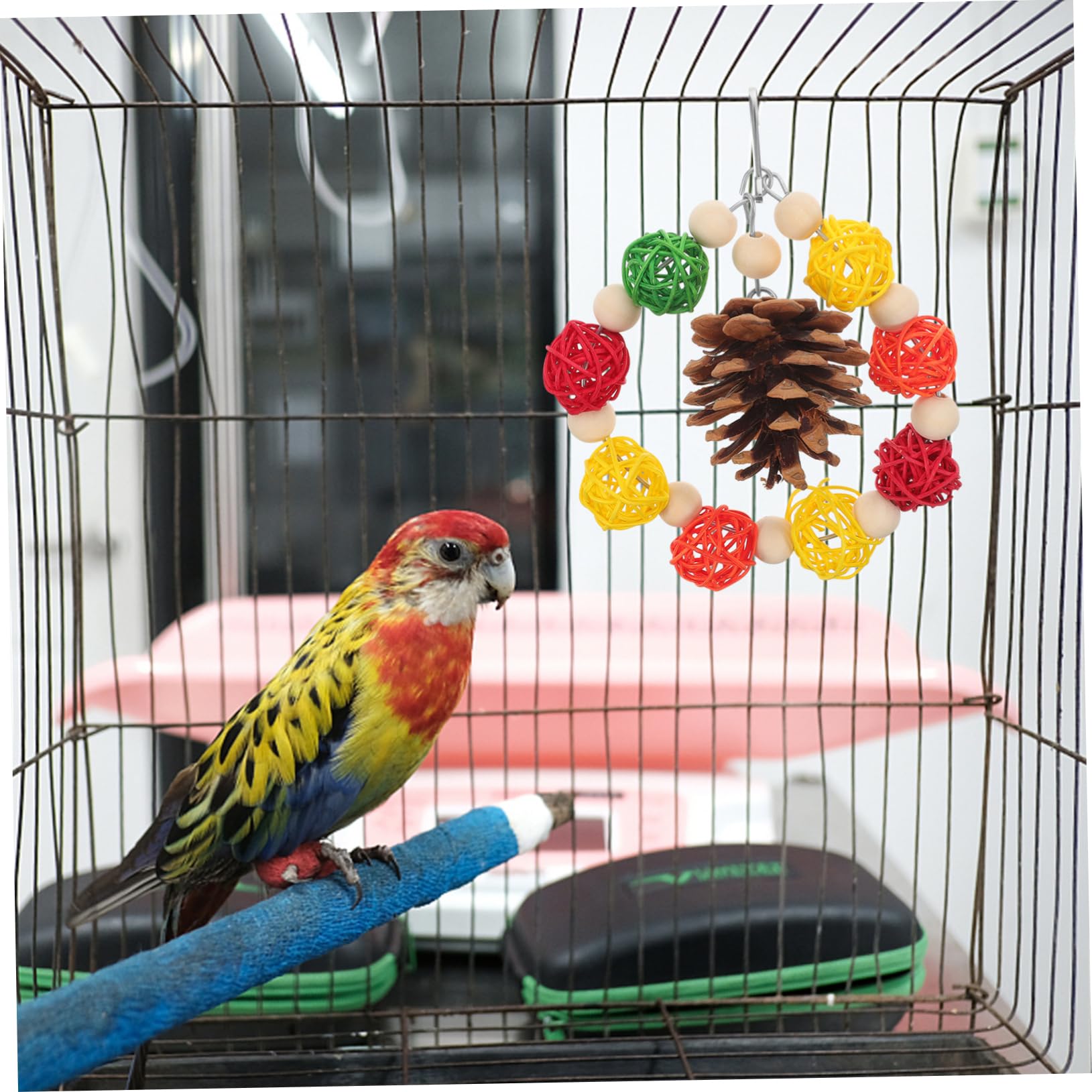 minkissy 4pièces Jouet De Mâcher pour Oiseaux avec Cônes De Pin Et Rotin Jouet De Naturel pour Perroquets Et Oiseaux Amusement Sécurisé Et Décoratif pour Cage