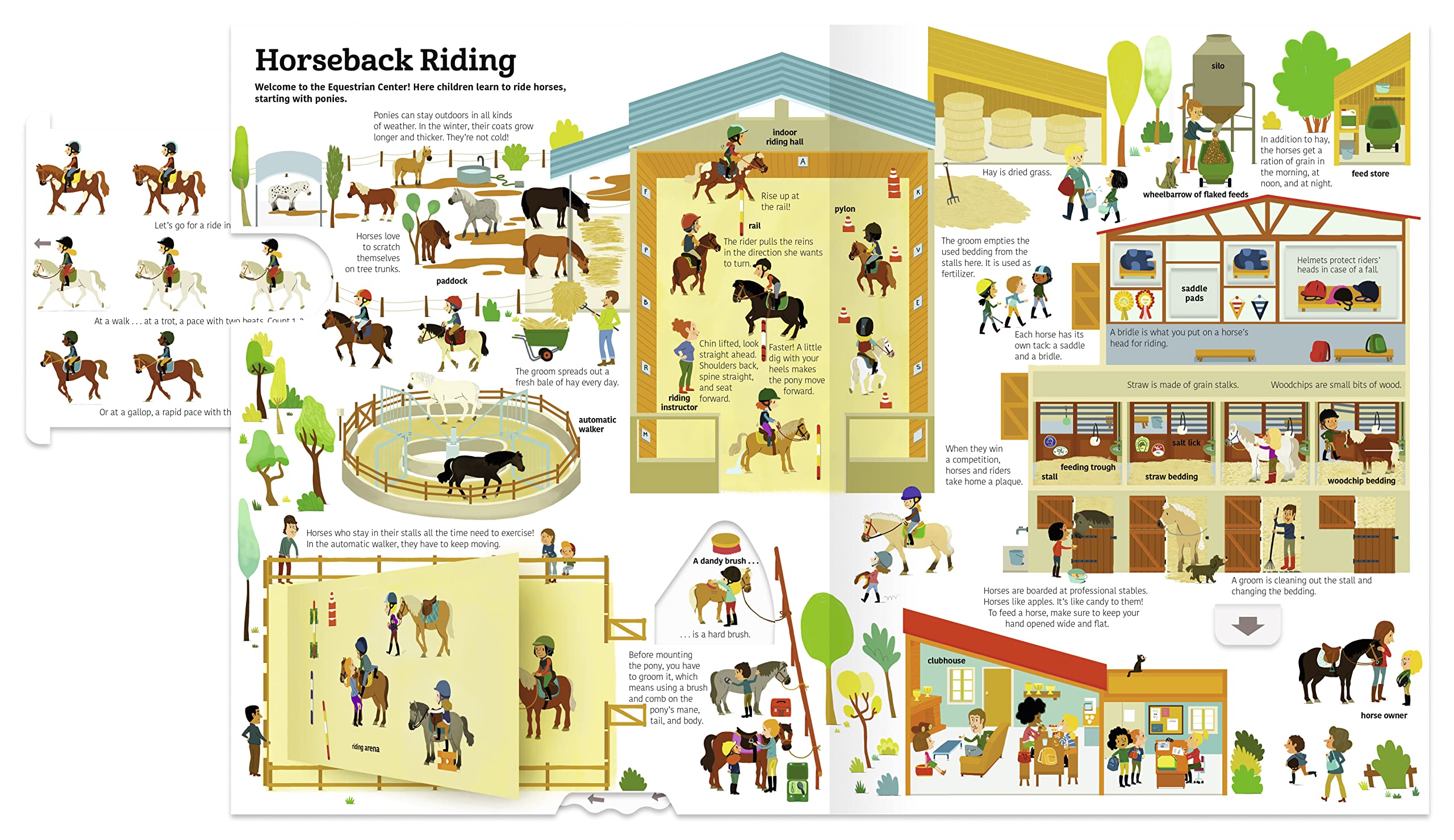 The Ultimate Book of Horses - Image 5