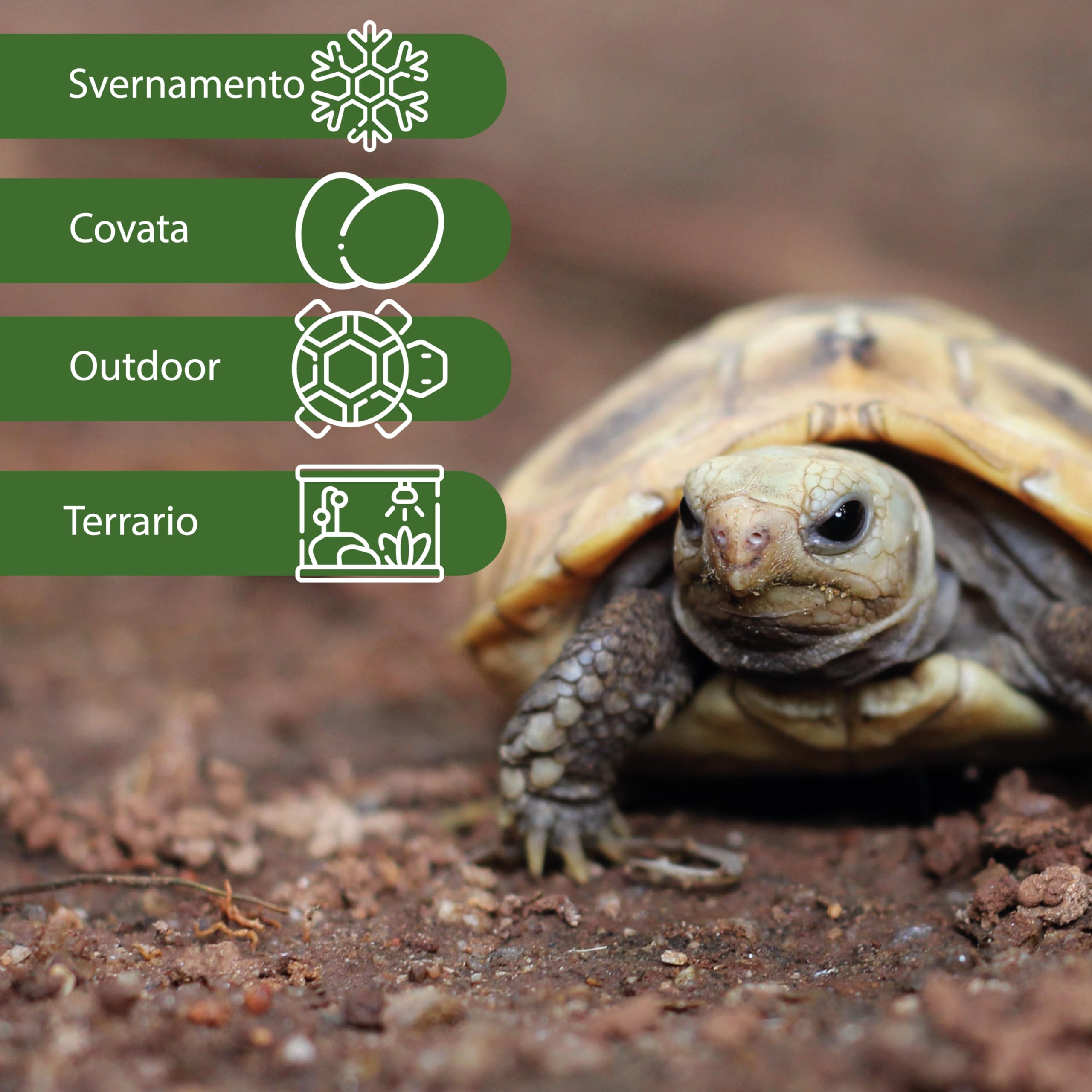AGRI-CULTURA® Terre pour tortues de terre 20 L Substrat spécifique terrarium
