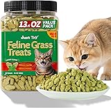 Just Try 13.4 OZ Cat Treats for Indoor Cats Hairball Control Natural Salmon Healthy Cat Grass Treats Kitten Snacks Training Biscuits Catnip for Cats Dental Care Salmon & Catnip 13.4 Ounce (Pack of 1)