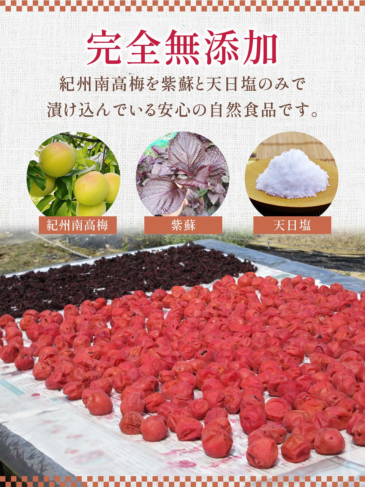紀州南高梅 しそ漬け梅干し