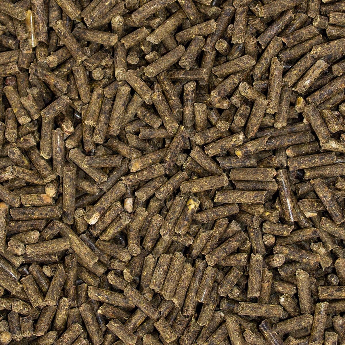 Speed Mobility Boost 1500 g - Alimento complementario para el Sistema musculoesquelético de Caballos, Apoyo a Las articulaciones, Receta Power con MSM y ácido hialurónico, sin Cereales