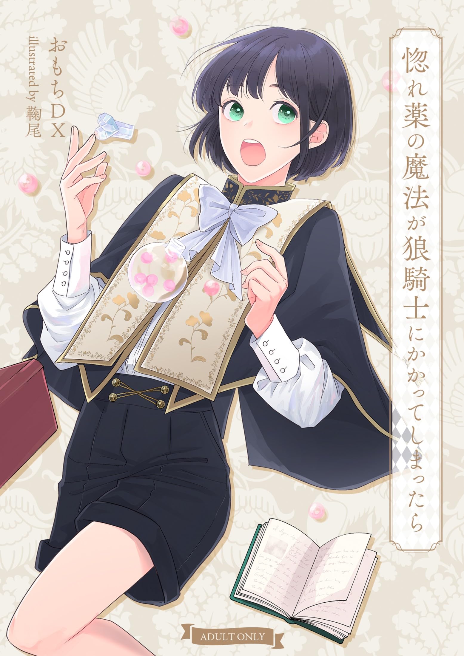 Amazon.com: おもちDX: books, biography, latest update
