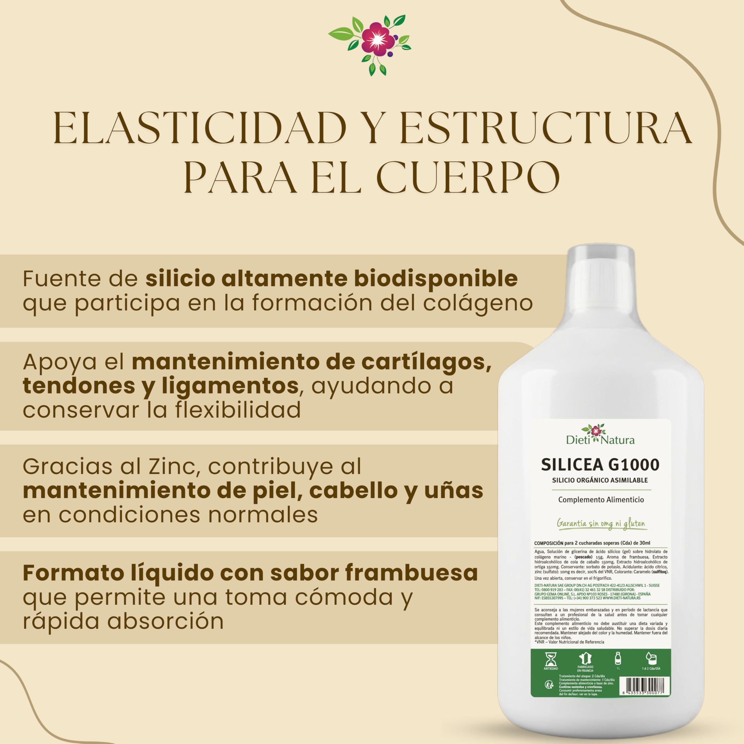 Dieti Natura Silicea G1000 1L Sabor Frambuesa para Articulaciones y Colágeno - Silicio Orgánico Bebible Alta Absorción para Huesos, Cartílago y Piel - Silicio Orgánico 100% Asimilable