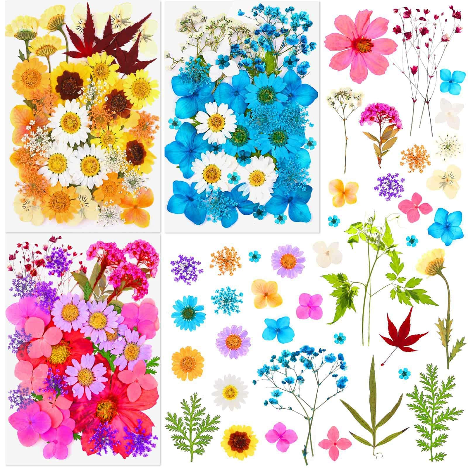 Pressed Dried Flowers for Resin, Thrilez 100Pcs Natural Dried Flower Herbs kit for Resin Jewelry Making Soap and Candle Making (Orange, Blue, Purple)