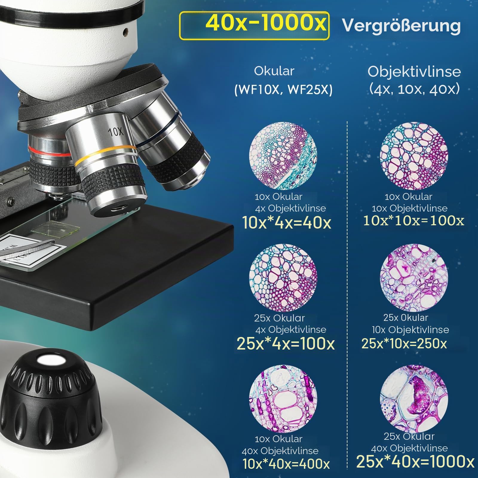 Cowiewie Professionelles Binokulares Mikroskop 40X-1000X lichtdurchlässig und reflektierend Auf- und DurchlichtMikroskop mit Okular & LED Beleuchtung, Studentenmikroskop Mikroskop mit Objektträger