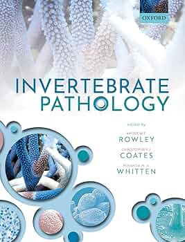 洋書 Insect Histology 91A05x983KL._UF350,350_QL50_.jpg