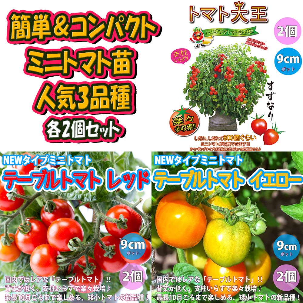 Amazon.co.jp: ITANSE 場所いらず楽々栽培！コンパクトトマト苗