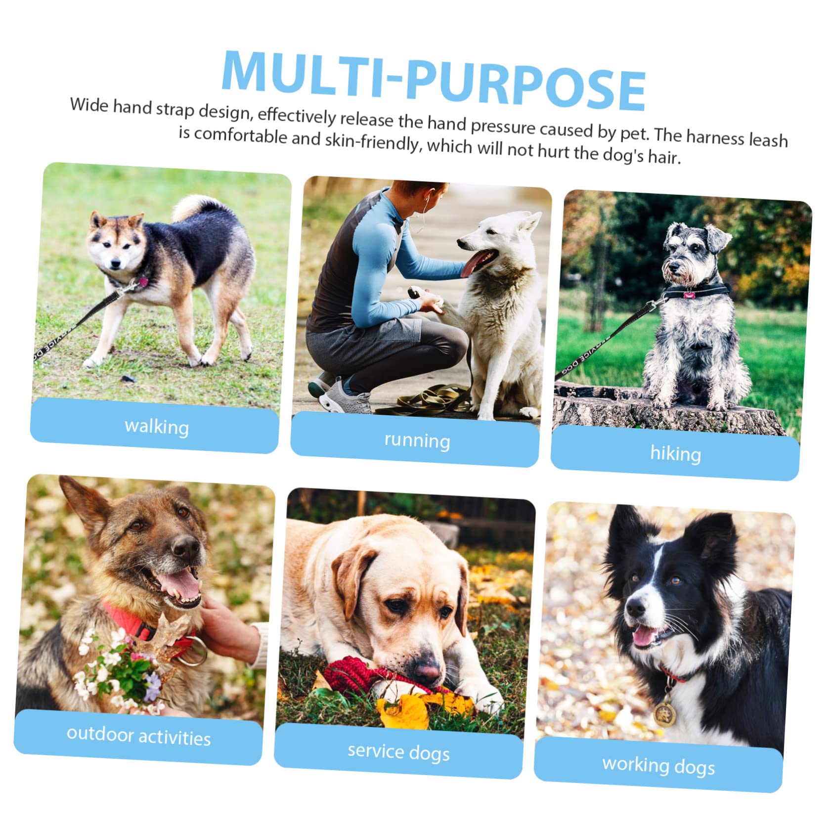 FRCOLOR Guinzaglio allungabile per cani di servizio, in nylon, per cani, guinzaglio e io, per e cuccioli, accessori per, multifunzione, in metallo, 5 pezzi