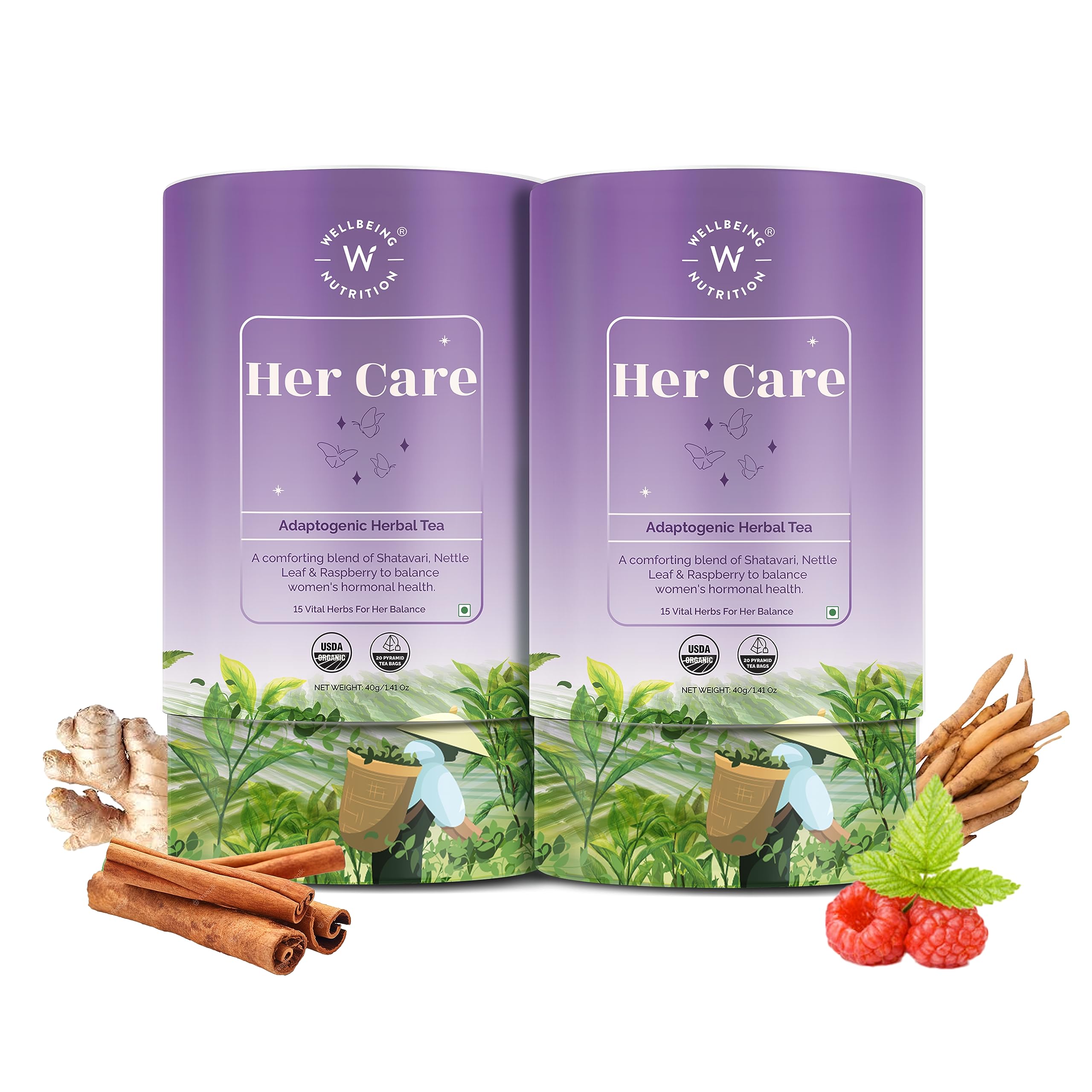 Wellbeing Nutrition Her Care Tea for PCOS PCOD | Herbal Tea for Women with Shatavari & Chasteberry for PMS Relief, Hormonal Imbalance & Regularize Menstrual Cycle (40 Pyramid Tea Bags) (B0CCXYH61F) Amazon Price History, Amazon Price Tracker
