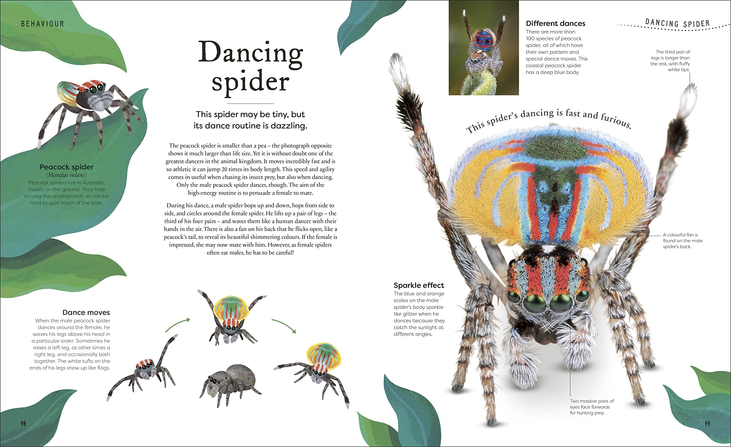 Weird and Wonderful Nature: Tales of More Than 100 Unique Animals, Plants, and Phenomena (DK Treasures)
