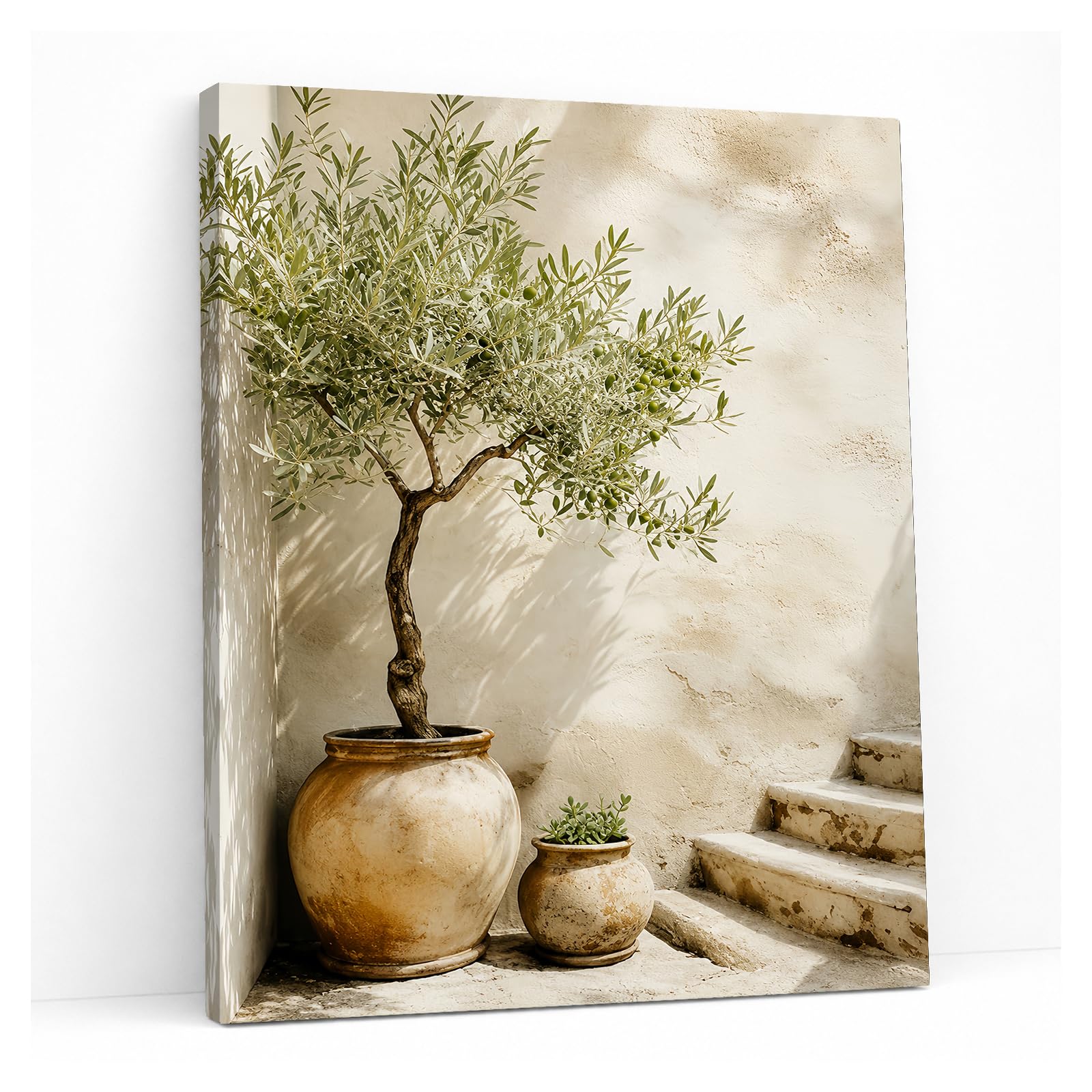 Glyzaen Mediterranean Olive Tree Canvas Wall Art, 12 x 16 Inch