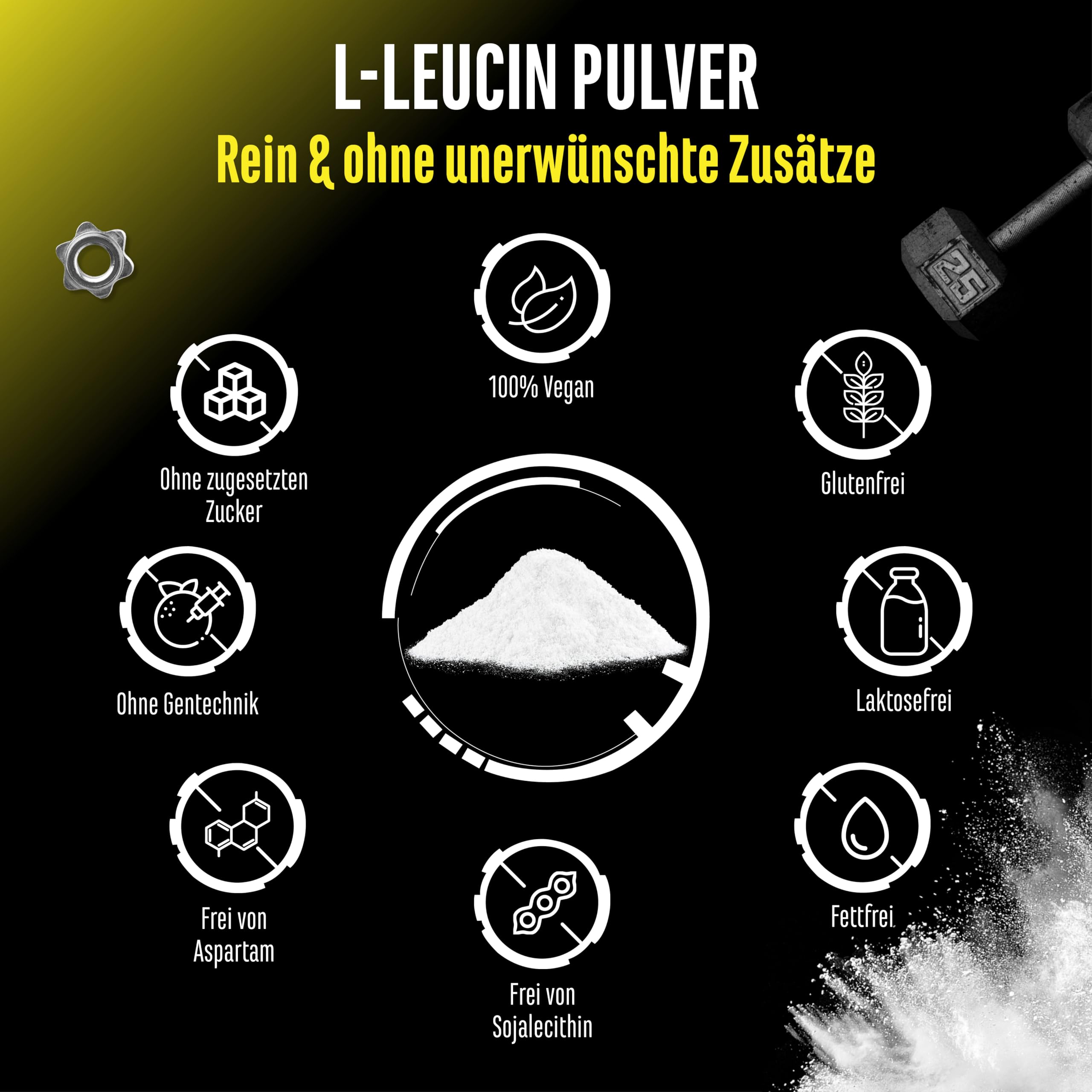 Leucin - 500 g Pulver - Hohe Reinheit - Premium Rohstoff: Natürliches L-Leucin fermentiert - Aminosäure - Ohne unerwünschte Zusätze, vegan
