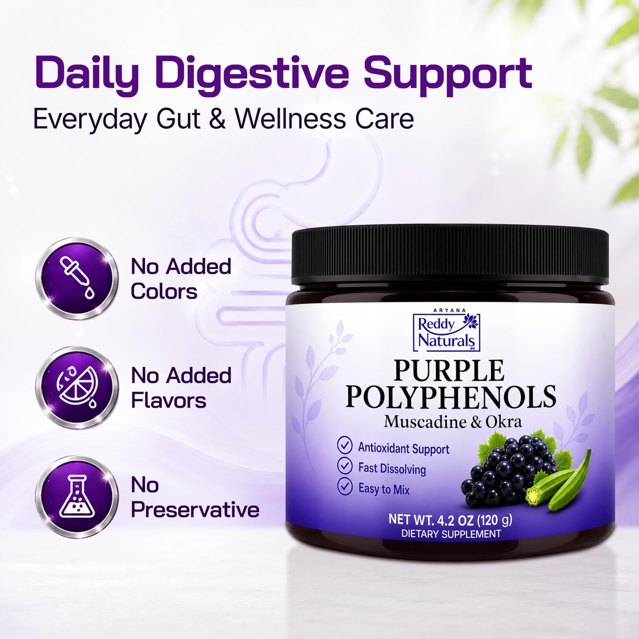 Amazon.com: Reddy Naturals Daily Polyphenol Drink – High