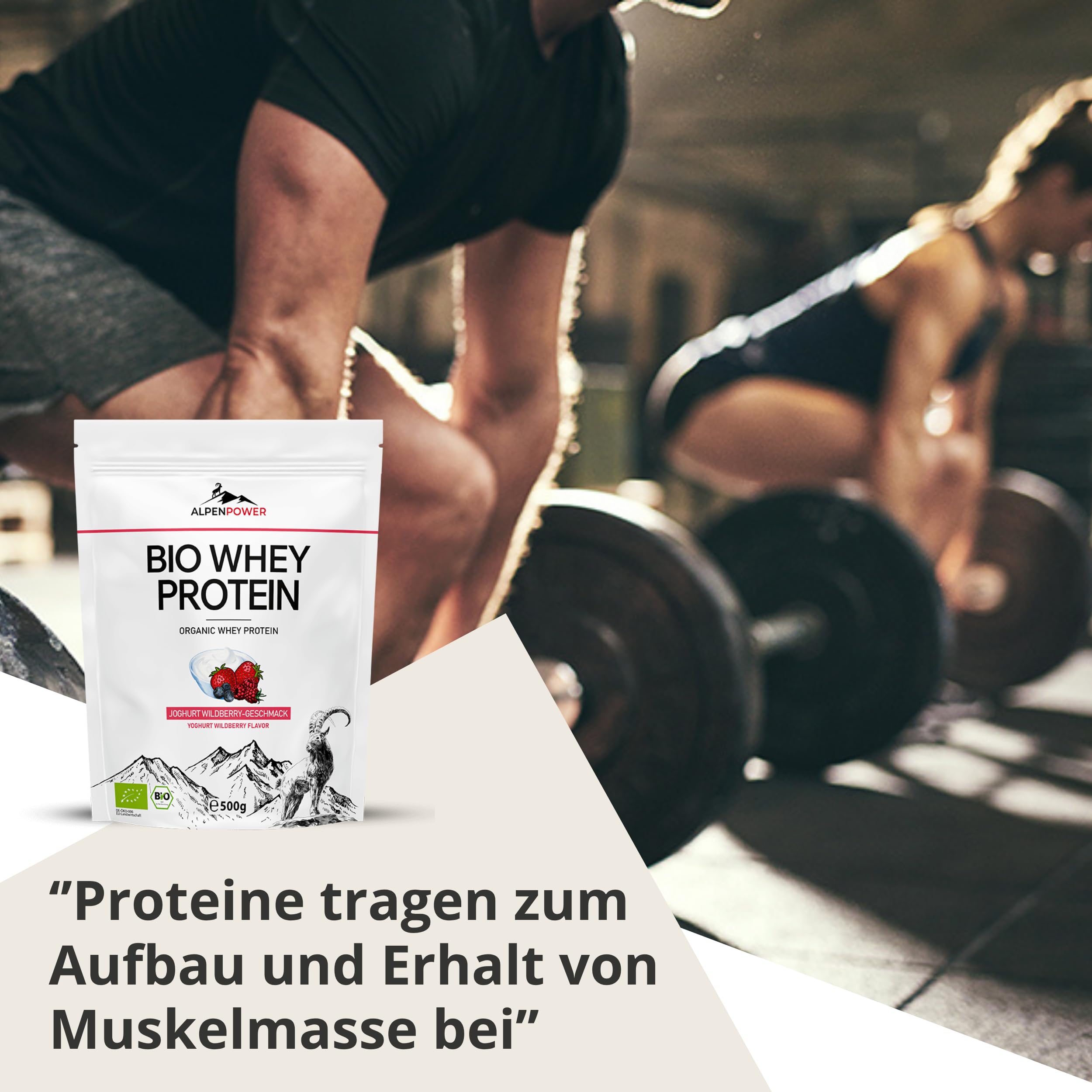 AlpenPower BIO WHEY proteine ​​gusto Yogurt e frutti di bosco 1 kg - Ingredienti 100% naturali e senza additivi - Prodotto con il miglior latte alpino biologico - Polvere proteica CFM di alta qualità
