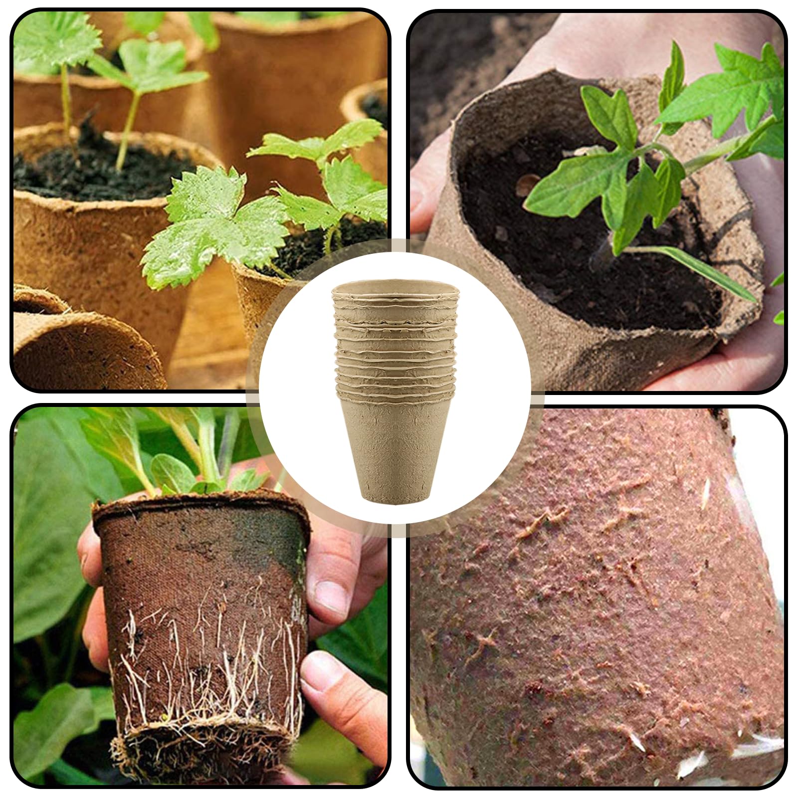 100 Piezas 6×5.5cm Macetas de Semillas Biodegradables: Maceta de Plántulas Biodegradable, Planteros Pequeñas Celulosa, Macetas Semillas Redondas, con Herramientas para Plantar, Invernadero
