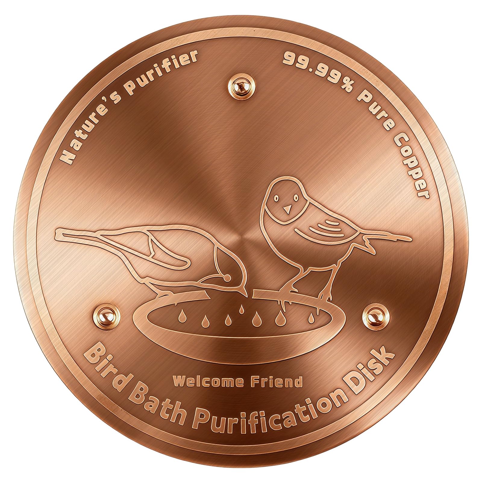 YIMETOP Pure Copper Bird Bath Cleaning Disk, 0.6mm 99.99% Copper Purification Disk for Outdoor Birdbaths, Bowls & Fountains, Self-Cleaning Design Keeps Water Fresh Year-Round, Universal Fit