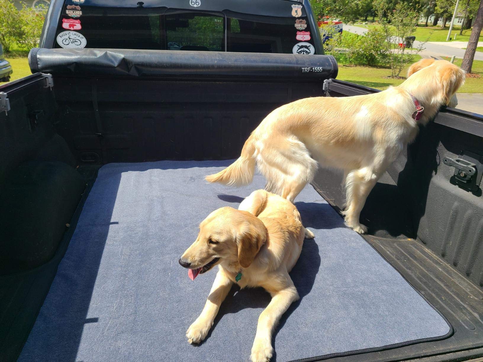 Washable Pee Pads for Dogs 2 Pack Reusable Puppy Pads Waterproof Pet Training Pads, Non-Slip Dog Mats Fast Absorbent Whelping Pads for Playpen, Potty, Crate, Bed, 48