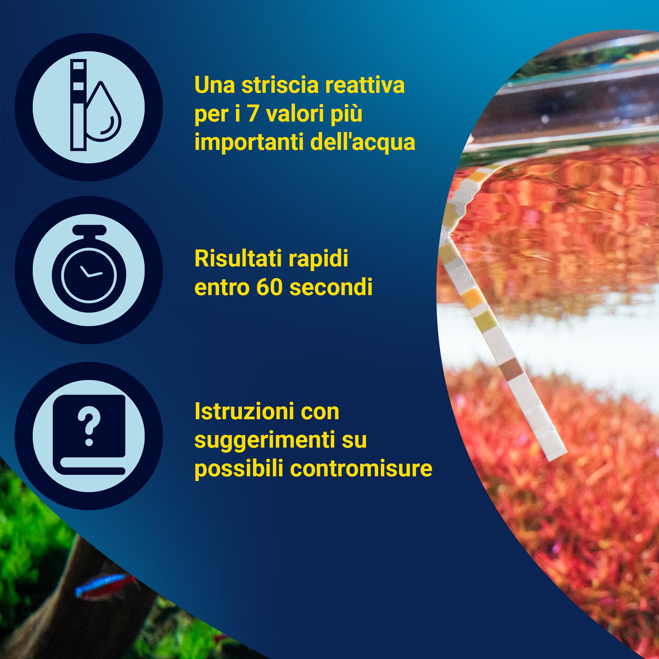 Tetra Test 7in1 - Test dell'acqua per acquari, controllo rapido e semplice della qualità dell'acqua, 1 confezione (50 strisce reattive)