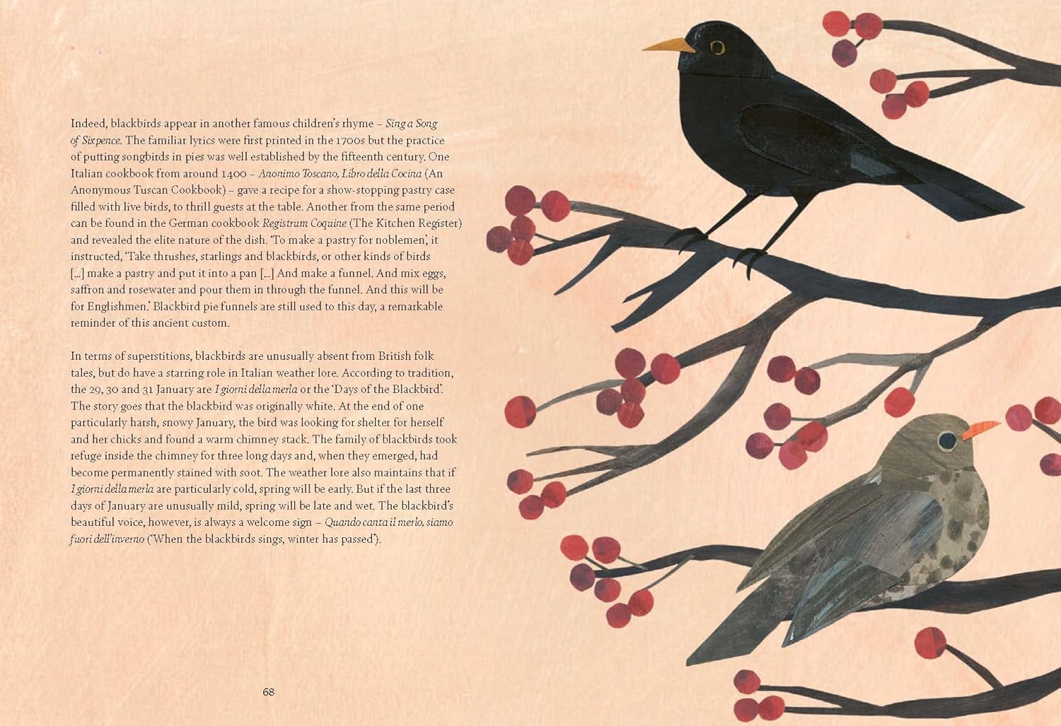 Bird Lore: The Myths, Folklore and Meaning of Birds - Image 10