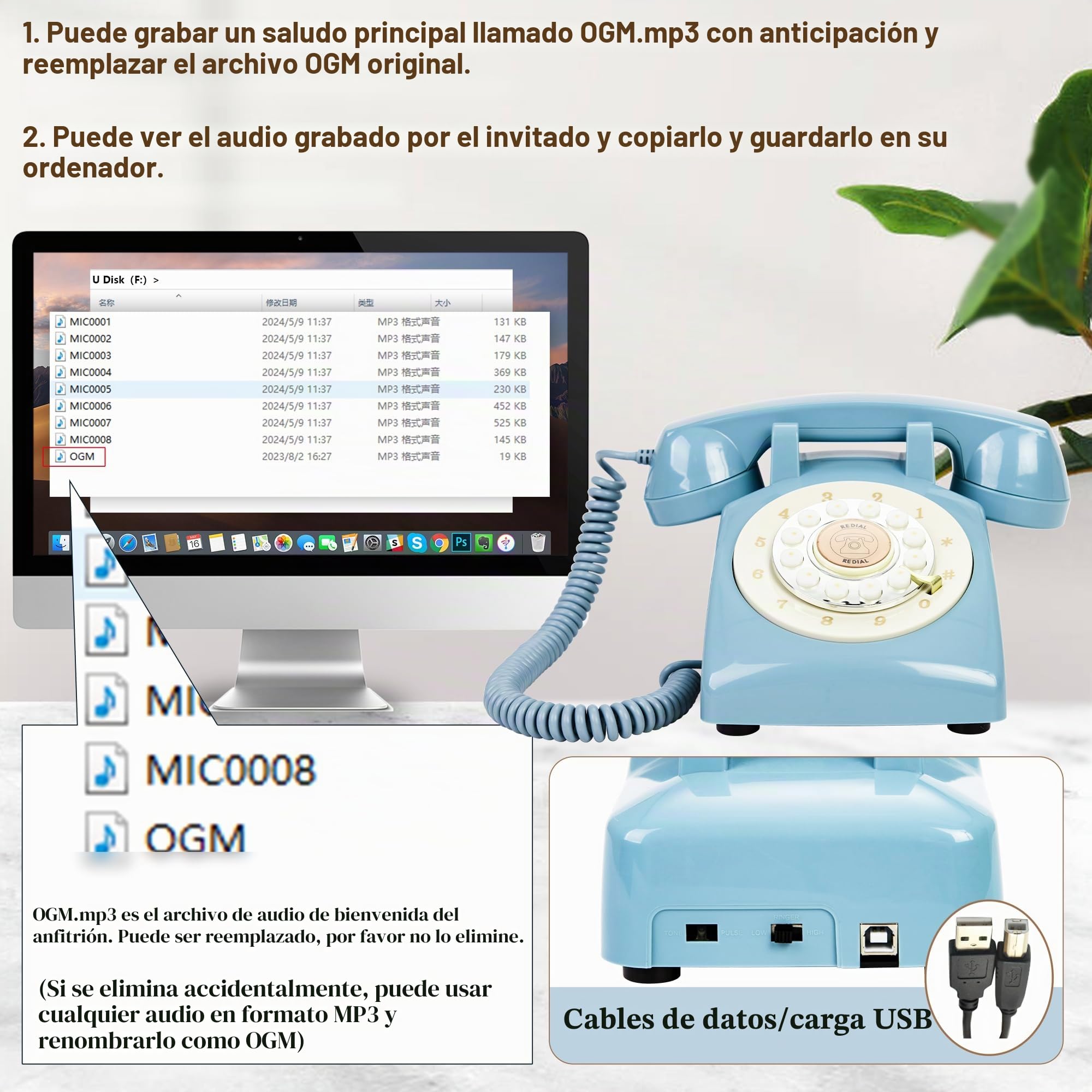 Libro de invitados de audio FiayaCom, teléfono para boda, 32GB de memoria, mensajes de audio personalizados, volumen ajustable, con función de reproducción de mensajes, adecuado para todo tipo de