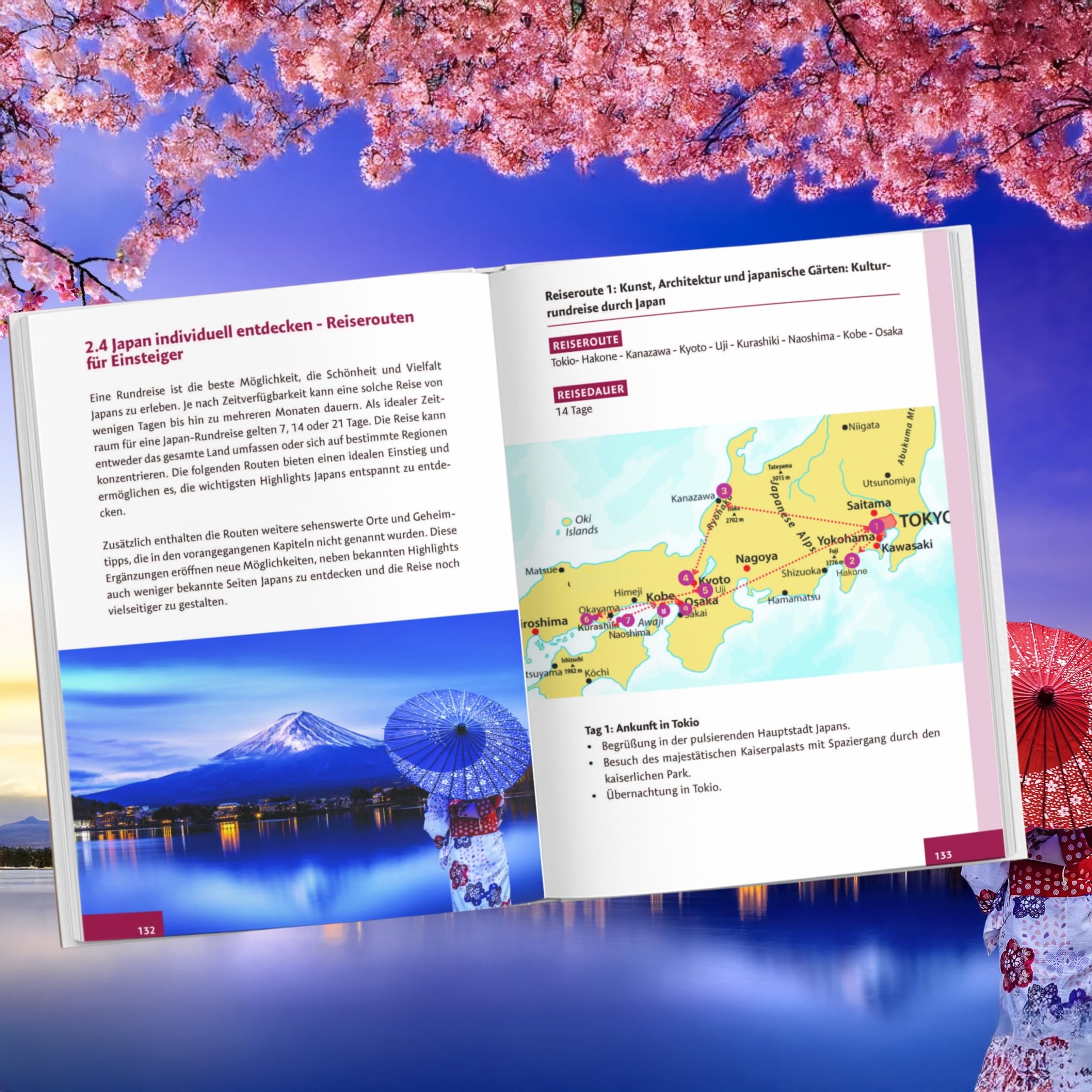 Japan für Anfänger – Von der Planung bis zur Heimkehr: Dein Guide zu unvergesslichen Erlebnissen im echten Japan mit Insider-Tipps direkt von einem Einheimischen inkl. cleverer Spartipps