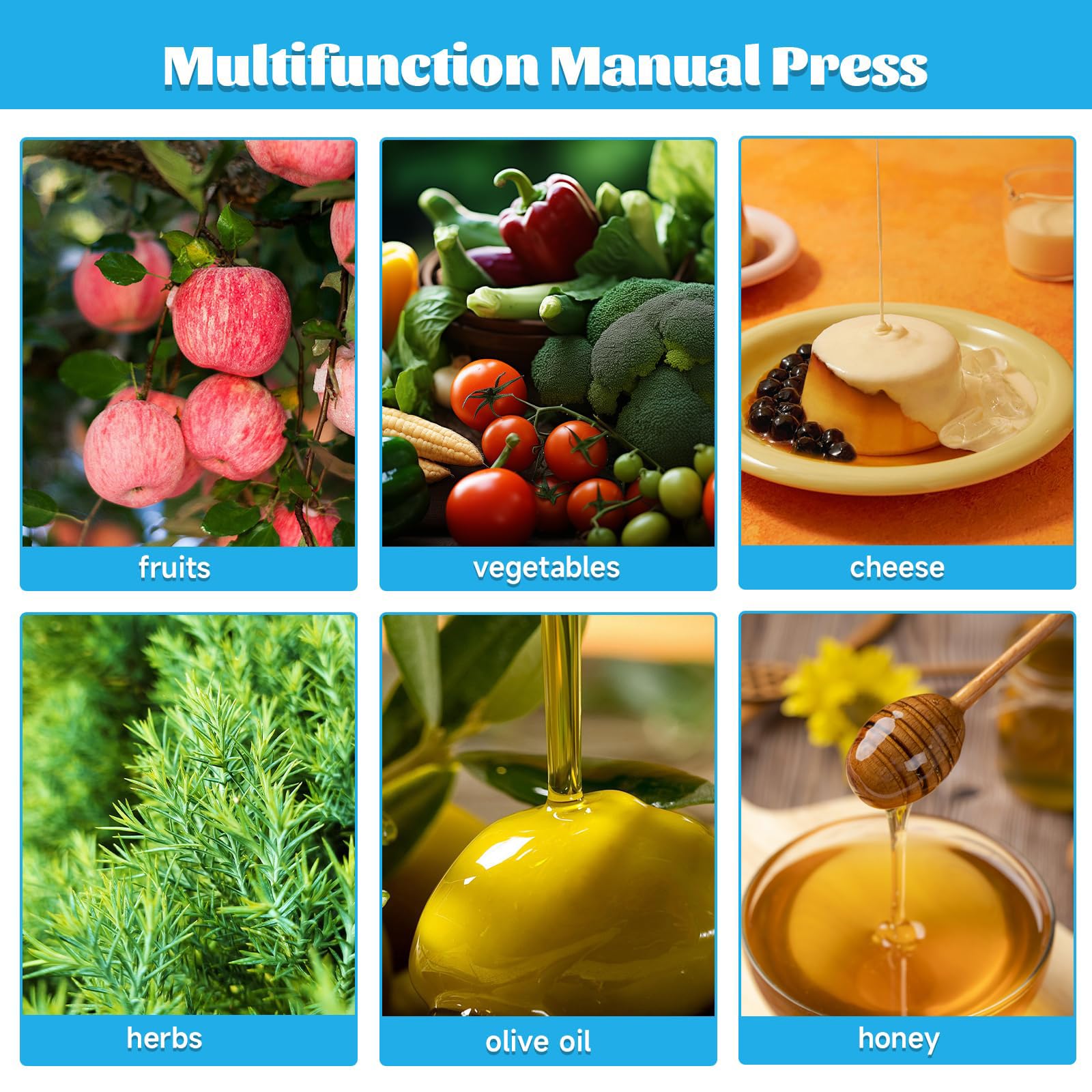 Prensa de vino de frutas, exprimidor de sidra de acero inoxidable de 3 L, prensador hidráulico para extraer jugo de uva, bayas, verduras para uso doméstico y comercial