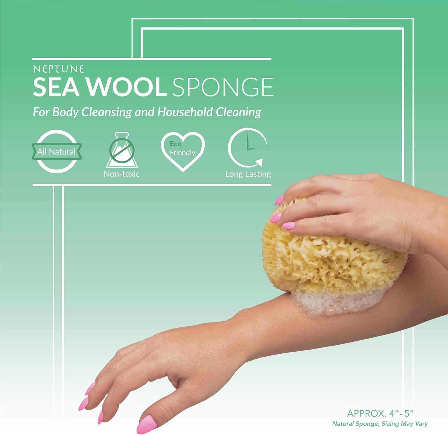 Neptune Natural Sea Wool Sponge - All Natural Honeycomb Renewable Sea Sponge 4.5-5.5 inches : Beauty & Personal Care