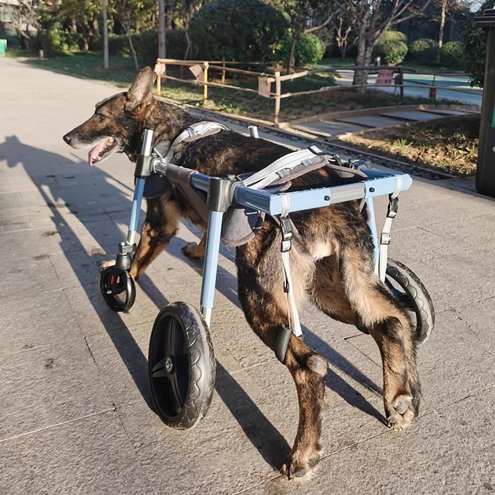 Silla de ruedas ajustable para perros con soportes traseros para las piernas, soporte de movilidad para artritis, ACL, displasia de cadera, ayuda todo terreno para mascotas