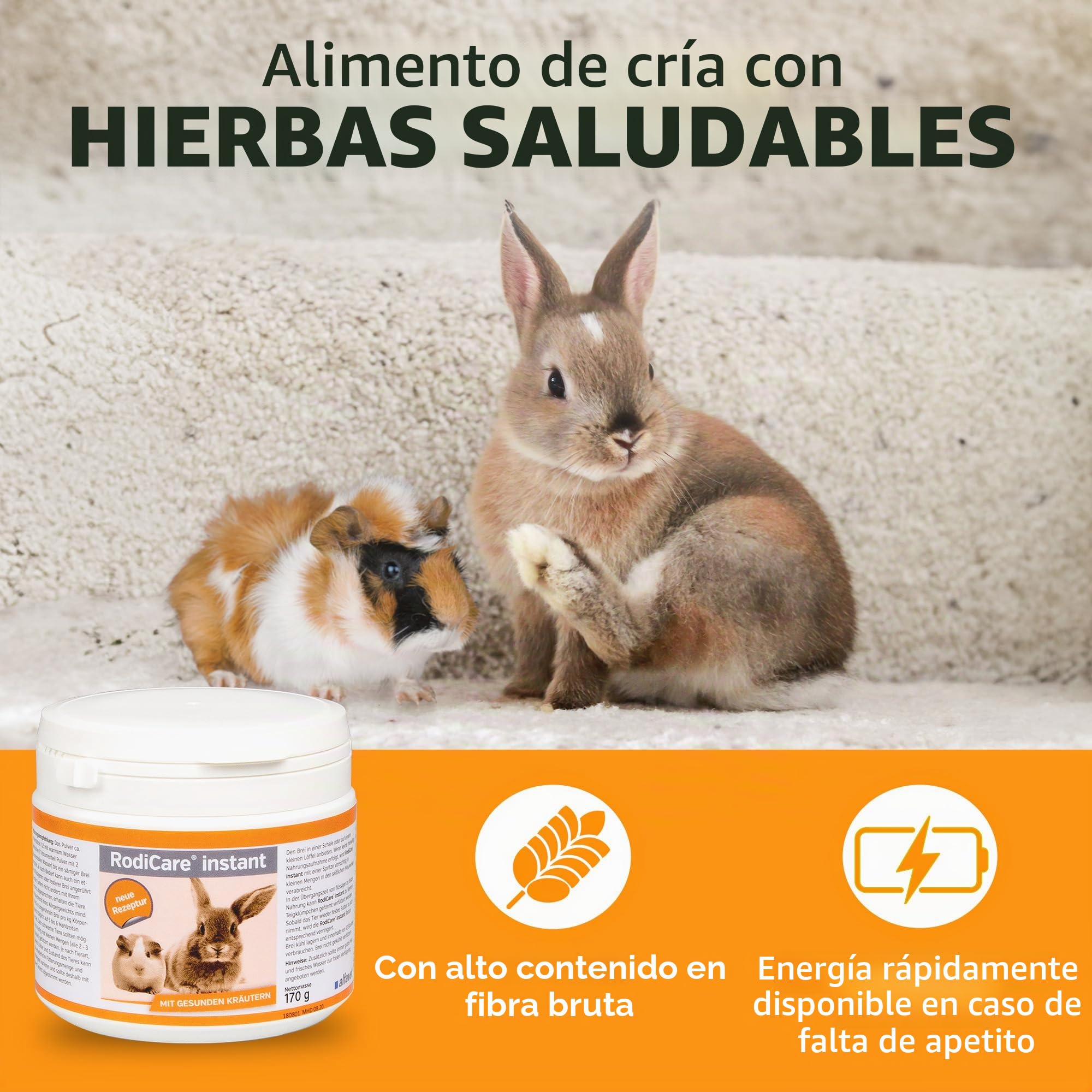 Alfavet RodiCare Instant - pienso Completo con Hierbas saludables para Conejos Enanos, cobayas y pequeños roedores debilitados y con Poco apetito - 2 kg