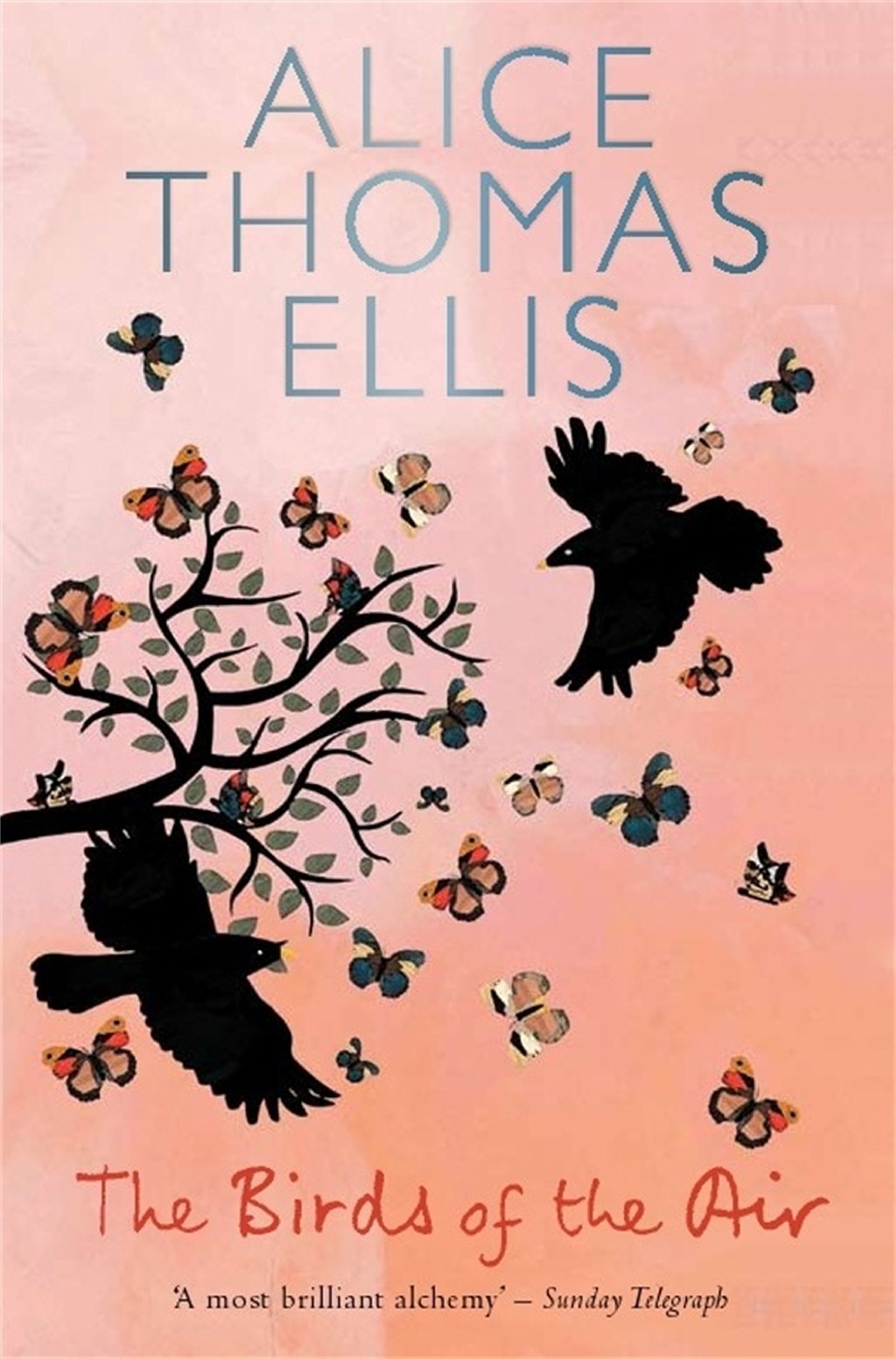 The Birds of the Air - 9781780336596