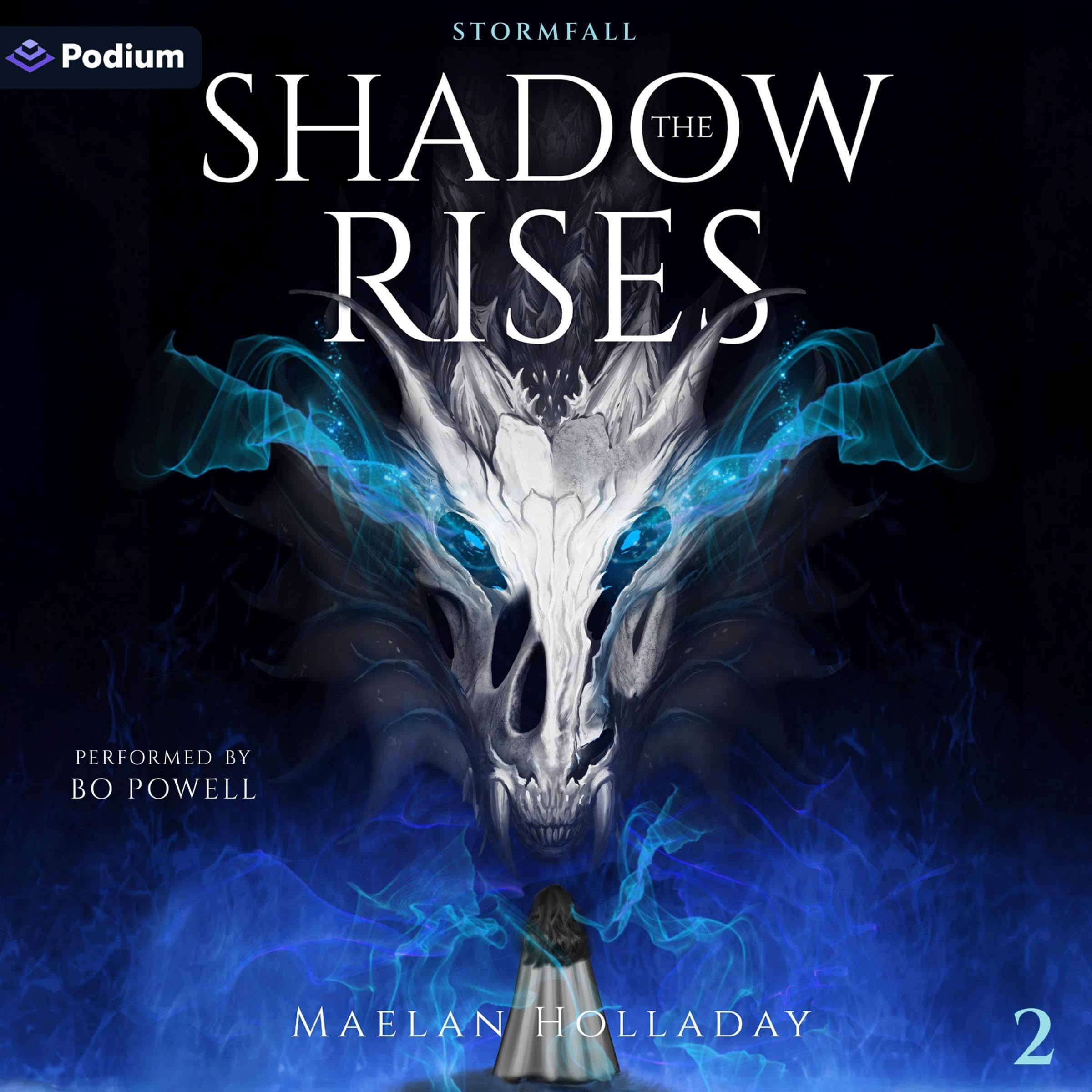 Cover art for The Shadow Rises