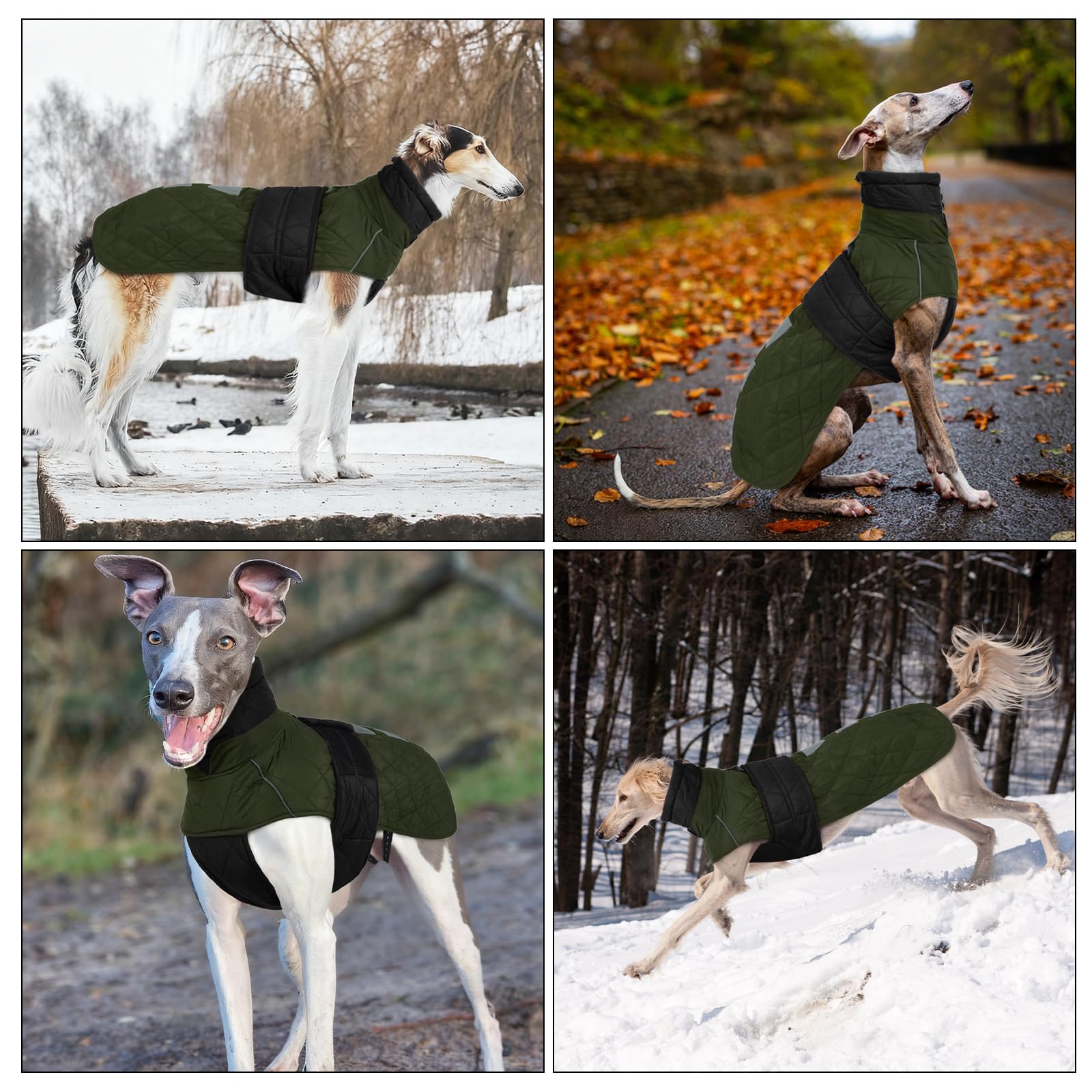 Wasserdichter Windhundmantel, Wasserdichter Winddichter Jacken für Windhund Rollkragenpullover Fleece Windhund Sweater Salukis warm Mantel