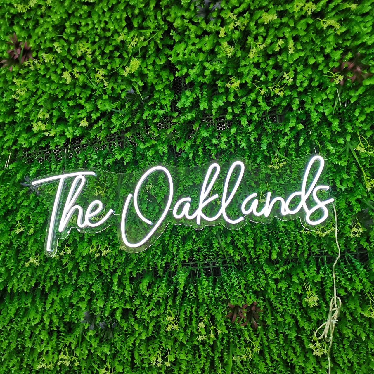 GITM Custom Neon Sign, Personalized Large Neon Sign for Bedroom Wedding Birthday Party Prom Home Room Shop Logo Bar Gifts Name Neon Signs Wall Decoration (1 Line text 30'')