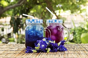 茶  Blue Tea BLUE TEA - Butterfly Pea Flower Tea - Plant BasedTea Bags