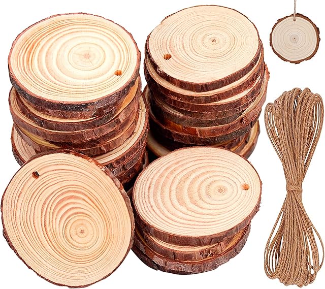 Wooden Log Slices- 30 Pieces Discs 6-7cm Drilled Hole Natural Slices Circle Wooden Discs Unfinished Log Wooden Rounds for DIY Crafts Christmas Decorations Arts Wood Slices Ornaments
