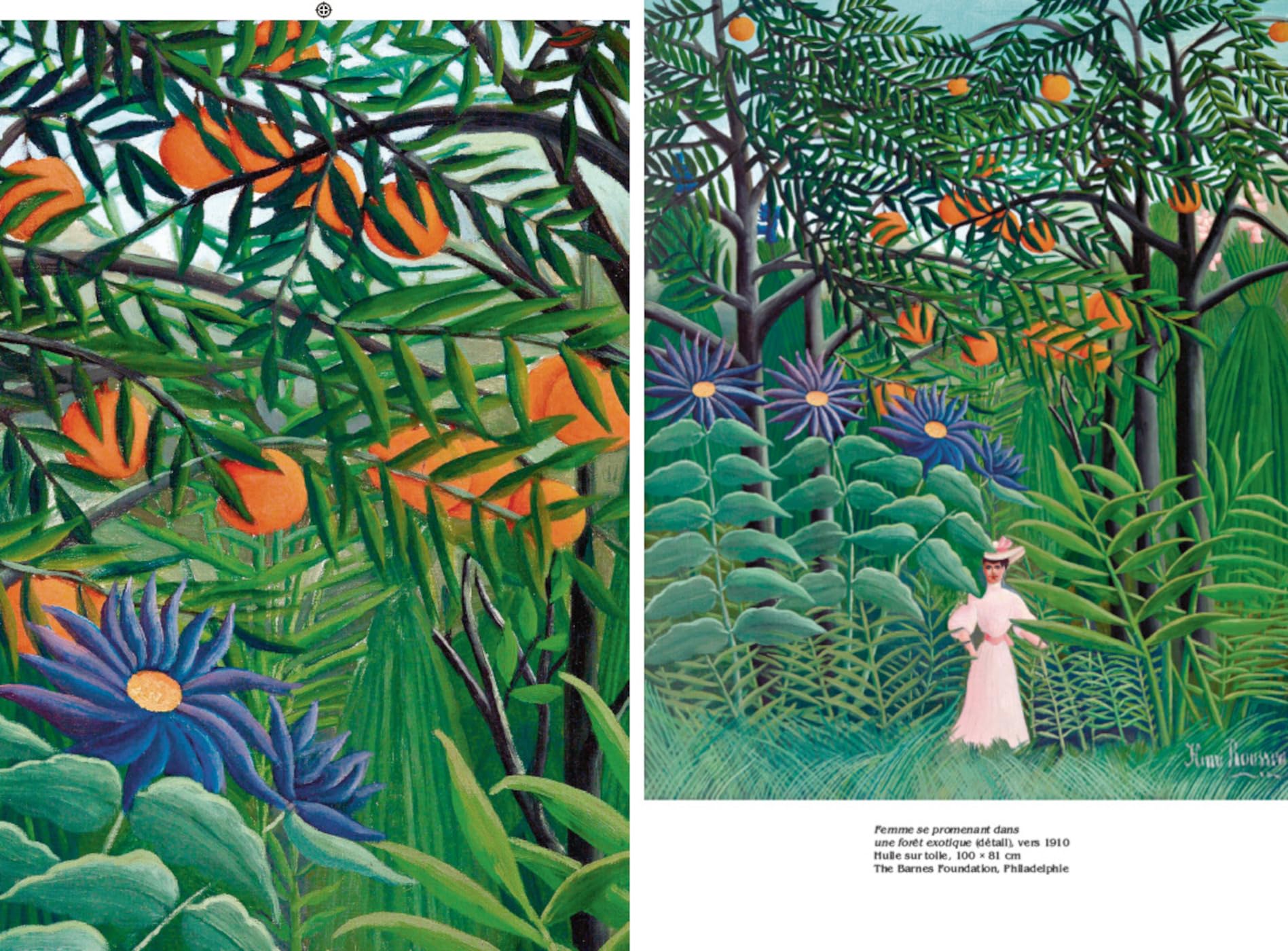 Douanier Rousseau. L'art en lumière