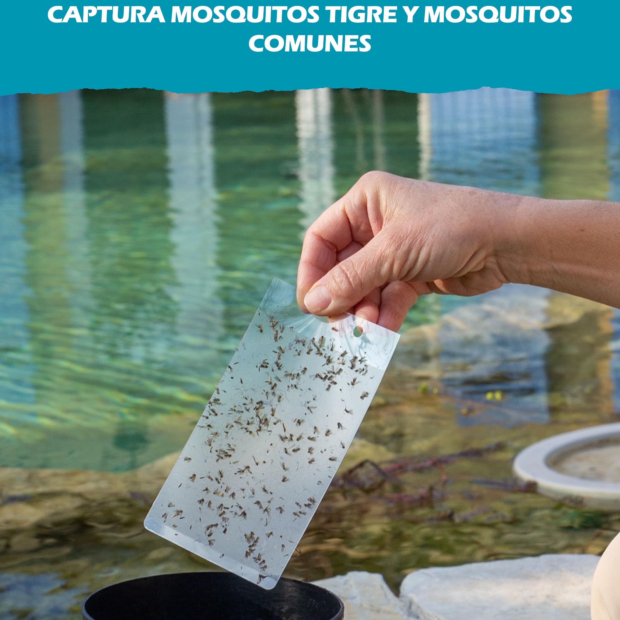 Mostiky: 30 Tarjetas Adhesivas compatibles con Biogents BG-GAT. Paquete de 30 Tarjetas Adhesivas para capturar Mosquitos Tigre Antes de Que pongan Sus Huevos.
