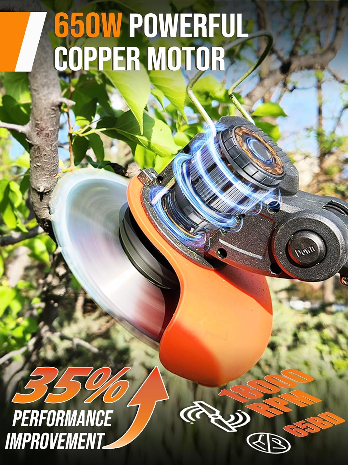https://m.media-amazon.com/images/I/81zMHqoyEtL._AC_SL1500_.jpg