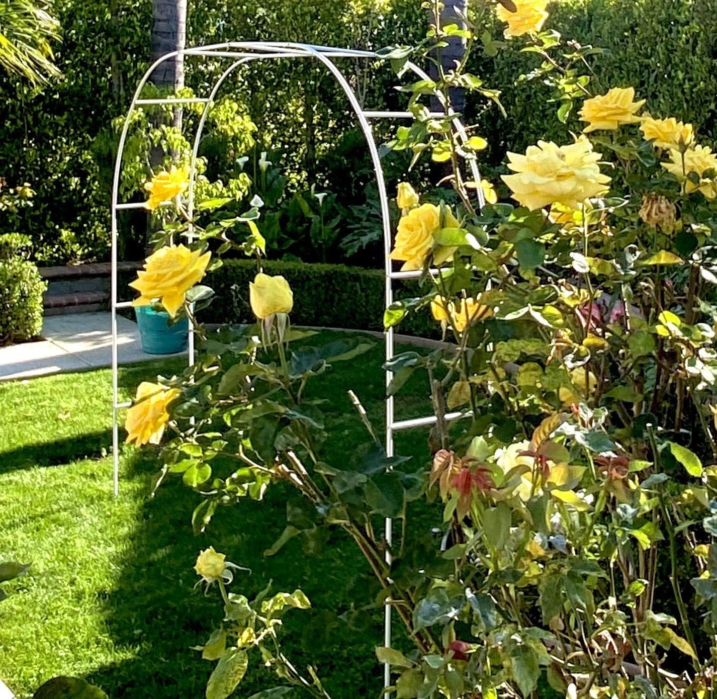 Wedding Metal Arch Patio Arbor Archway Garden Trellis for Various Climbing Plants Bridal Party Decoration Outdoor Garden Lawn Backyard Decoration Supplies (Color : Green)