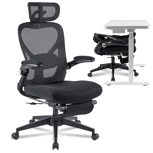 FLEXISPOT Foldex Ergonomic Office Chair, Folding Chair for Small Spaces with Lumbar Support, Flip-up Armrests
